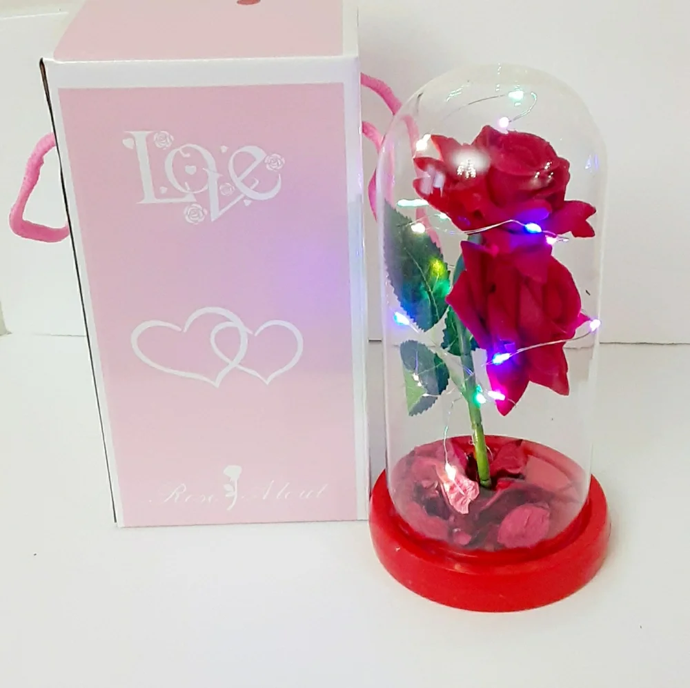 PS I Love U Gift For Her Beauty and The Beast Red Rose LED Glass Dome Decor